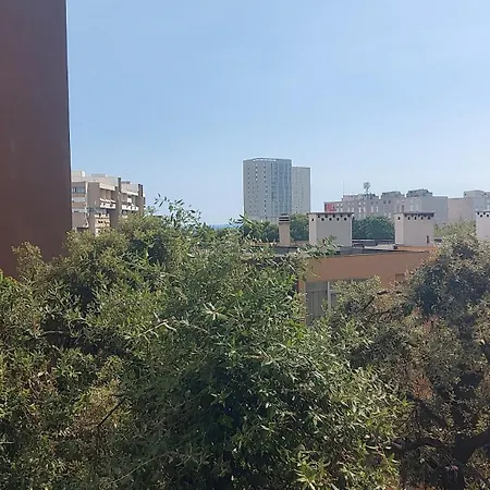 Apartment Milestone